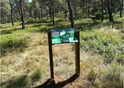 Concepción, guionaje y coordinación de un itinerario foresta